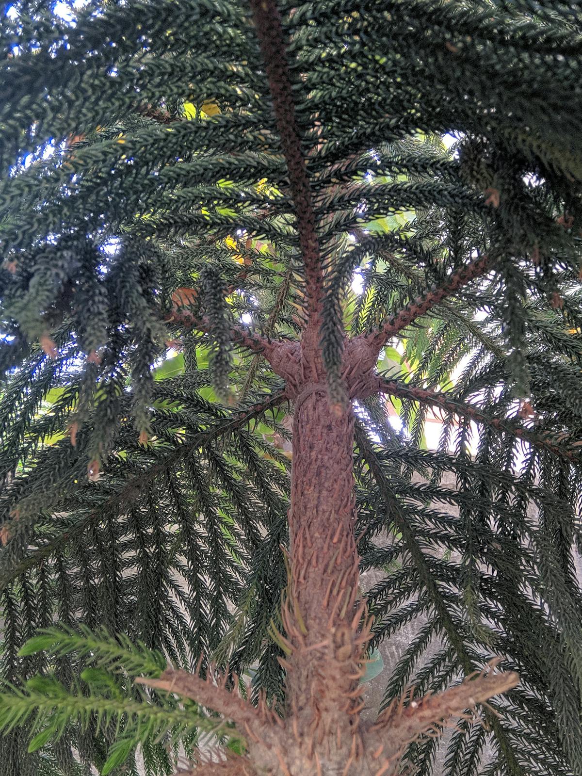 How to Fix a Running Toilet in Under an Hour
