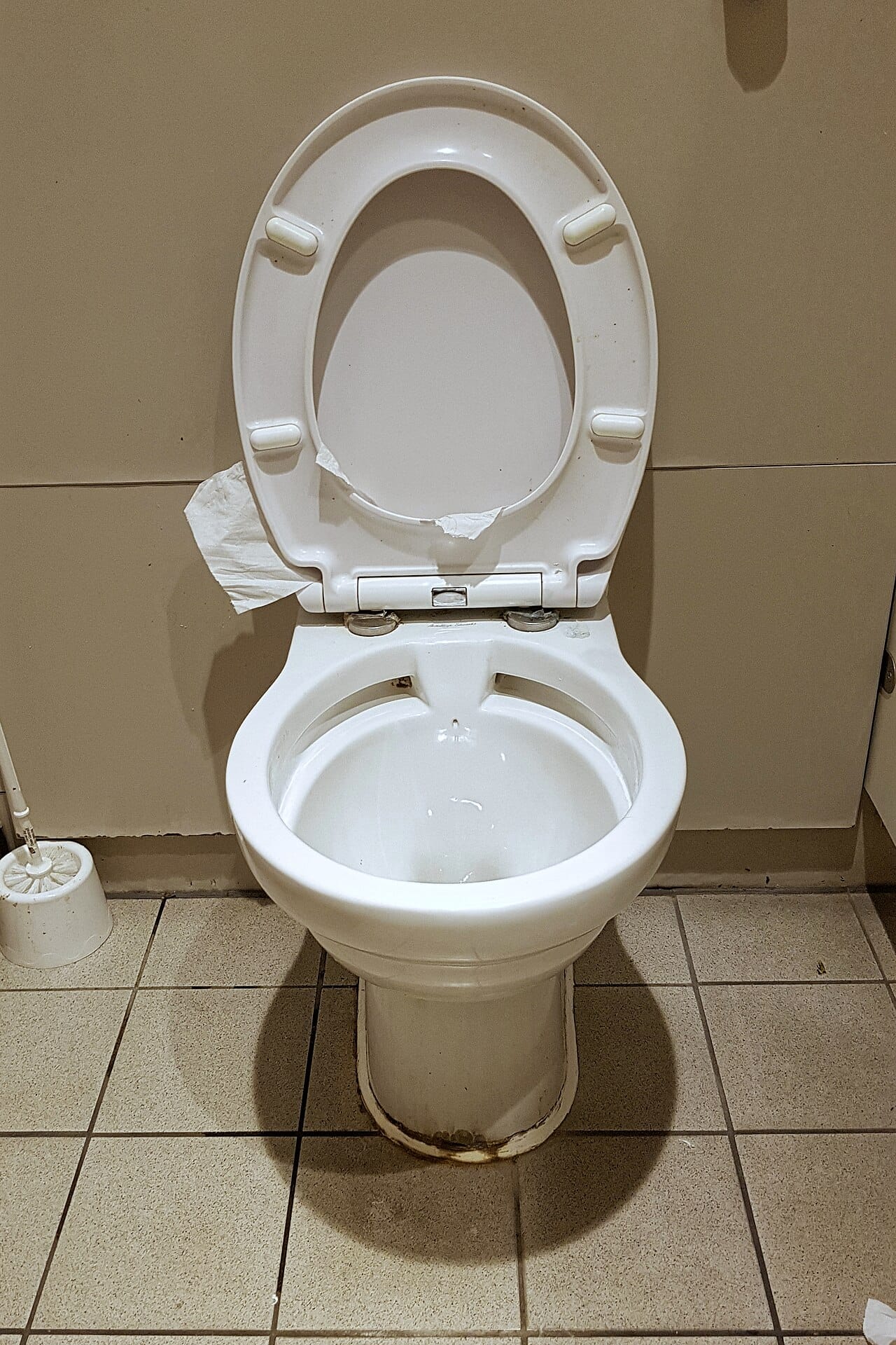 How to Replace a Toilet Cistern: Tools, Parts and Avoiding Leaks