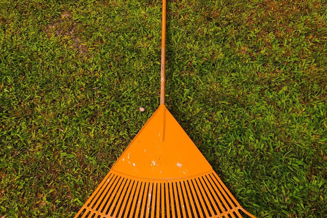 Autumn Lawn Care: Scarifying, Aerating and Overseeding Before the Growing Season Ends