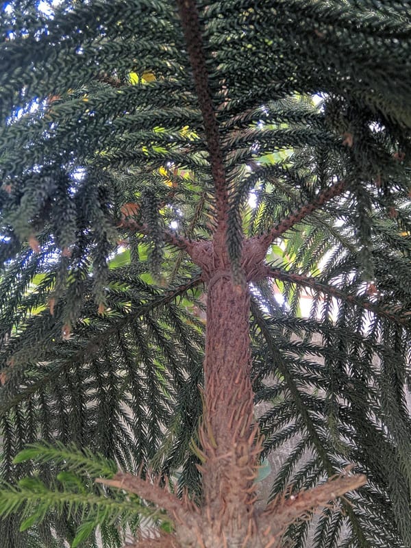 How to Fix a Running Toilet in Under an Hour