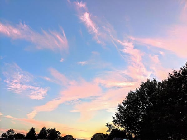 The Ultimate Guide to Choosing the Right Paint Finish for Every Room