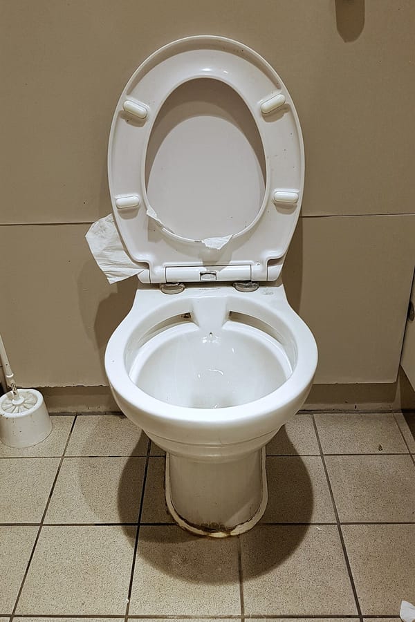 How to Replace a Toilet Cistern: Tools, Parts and Avoiding Leaks