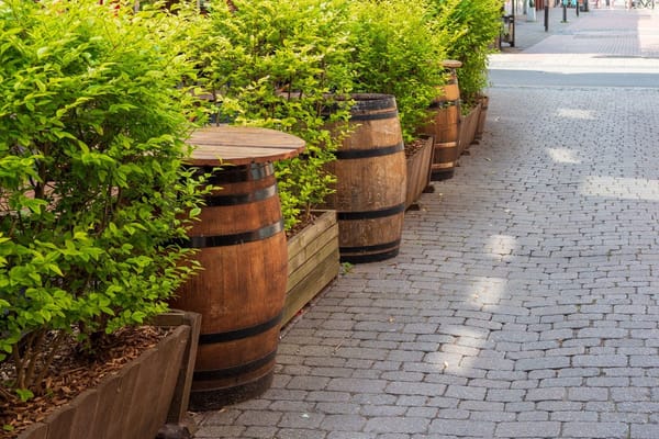 Hosepipe Bans in August 2026: What You Can (and Can't) Do in the Garden, and the Water-Saving Jobs Worth Doing Now