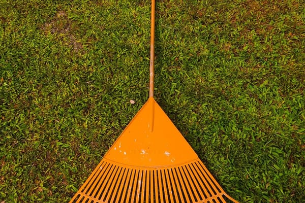 Autumn Lawn Care: Scarifying, Aerating and Overseeding Before the Growing Season Ends